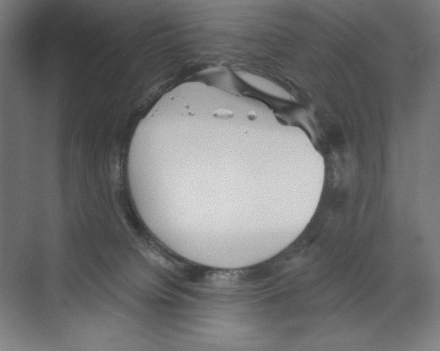 X0000068830084200606021654