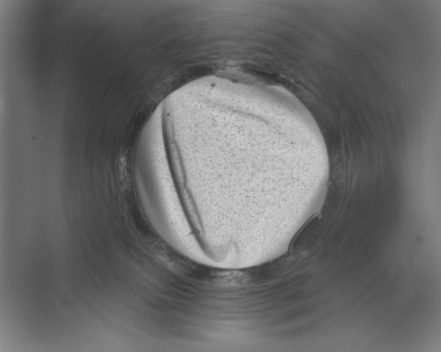 X0000068830087200606021654