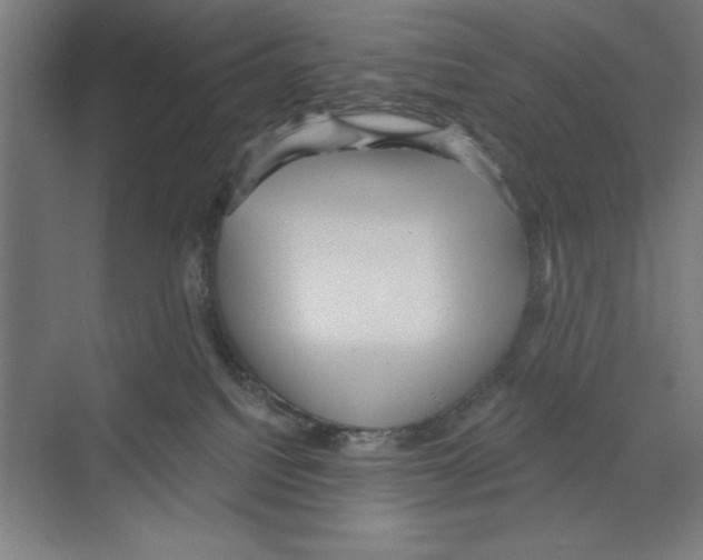 X0000068830088200606021654