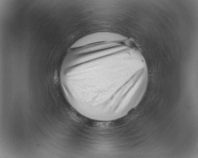 X0000068830089200606021654