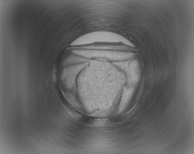 X0000068830090200606021654