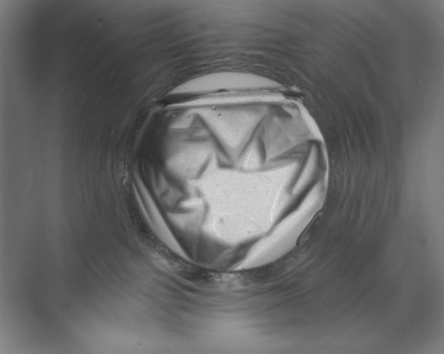 X0000068830091200606021654