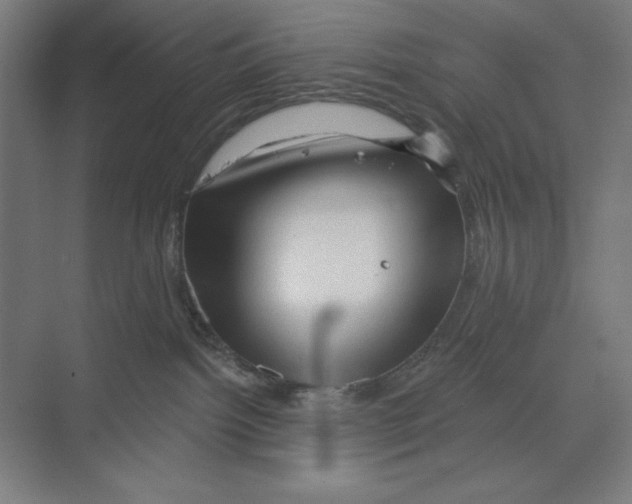 X0000068830092200606021654