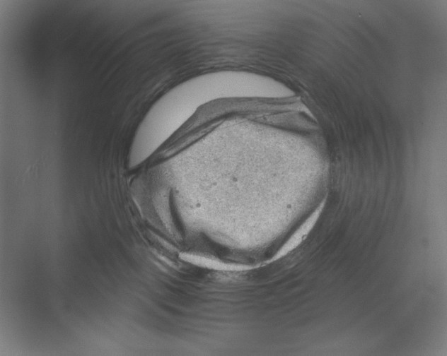 X0000068830093200606021654