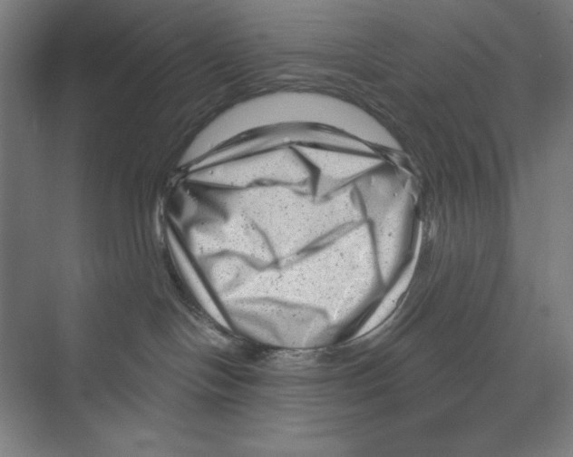 X0000068830094200606021654