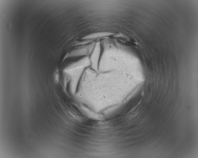 X0000068830095200606021654