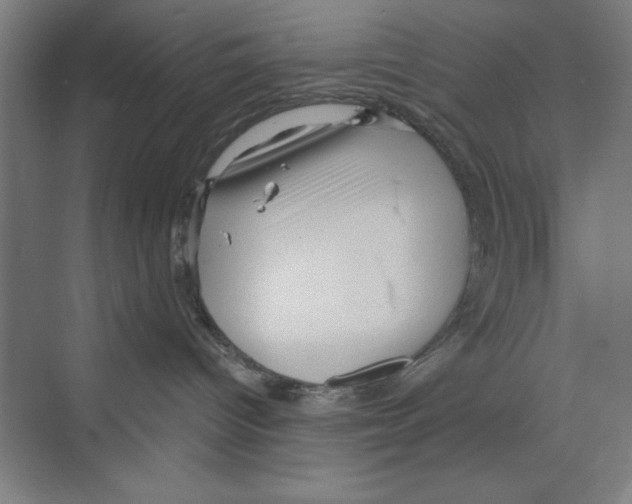 X0000068830096200606021654