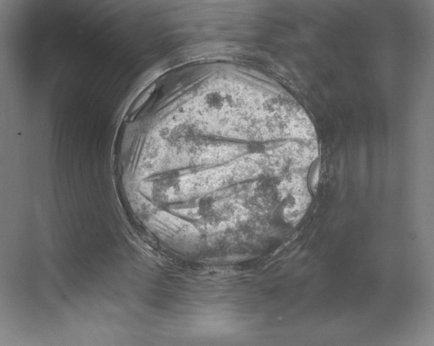 X0000068830099200606021653