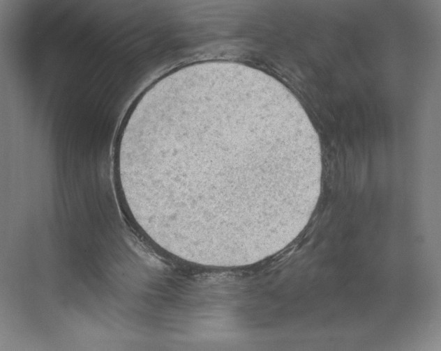 X0000068830100200606021653