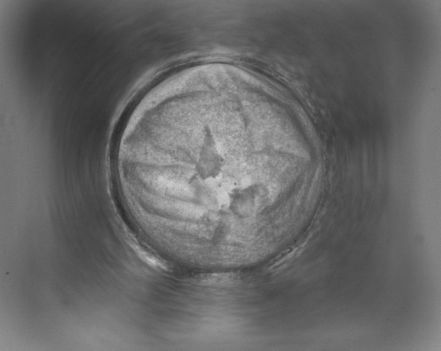 X0000068830102200606021653