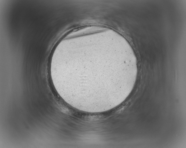 X0000068830103200606021653