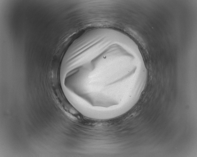 X0000068830105200606021653