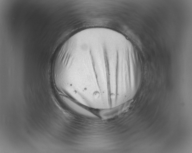 X0000068830107200606021653