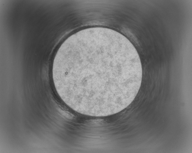 X0000068830108200606021653