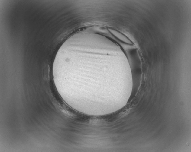 X0000068830109200606021653