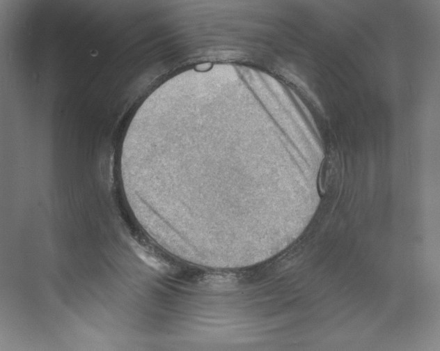 X0000068830110200606021653