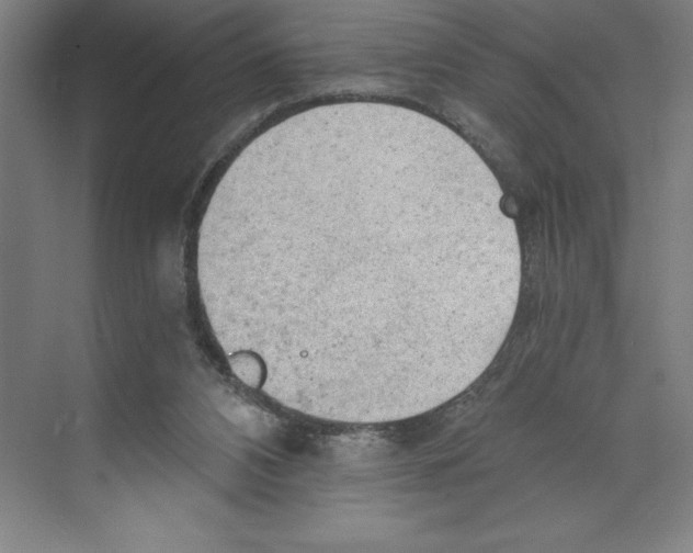 X0000068830112200606021653