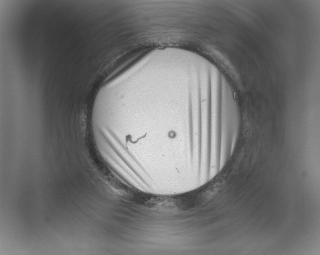 X0000068830113200606021653