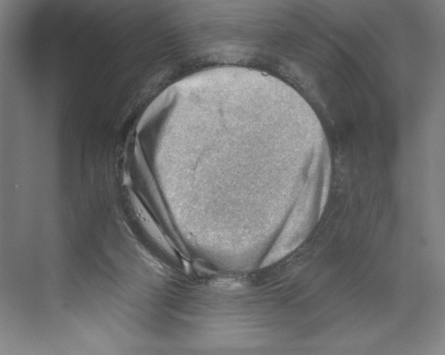 X0000068830114200606021653