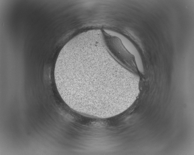 X0000068830115200606021653