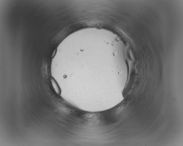 X0000068830117200606021653