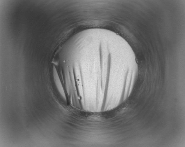 X0000068830119200606021653