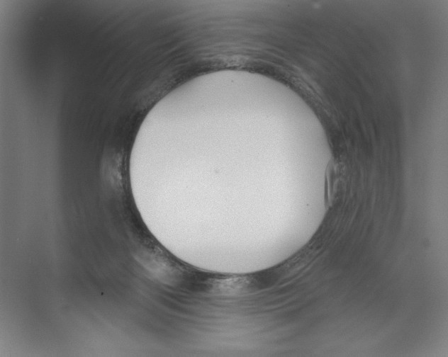 X0000068830122200606021653