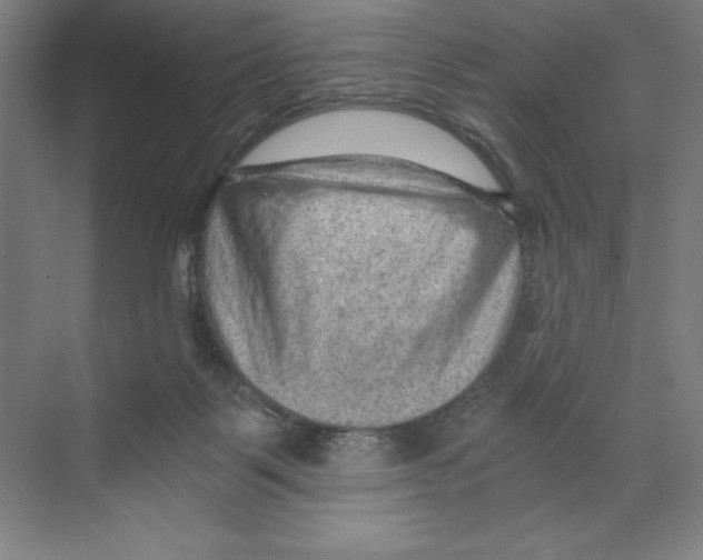 X0000068830123200606021653