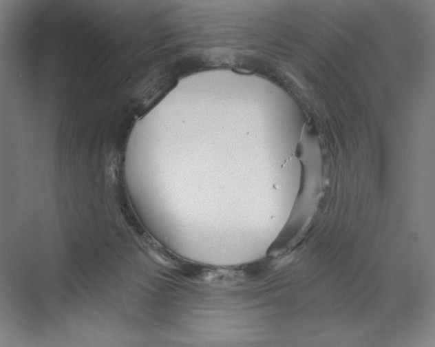 X0000068830125200606021653