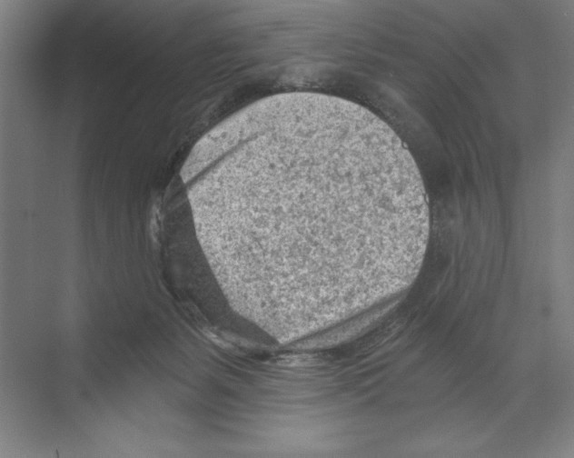 X0000068830127200606021653