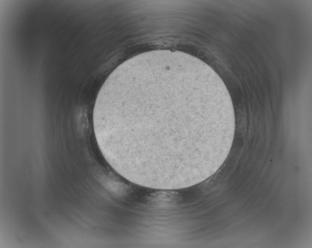 X0000068830128200606021653