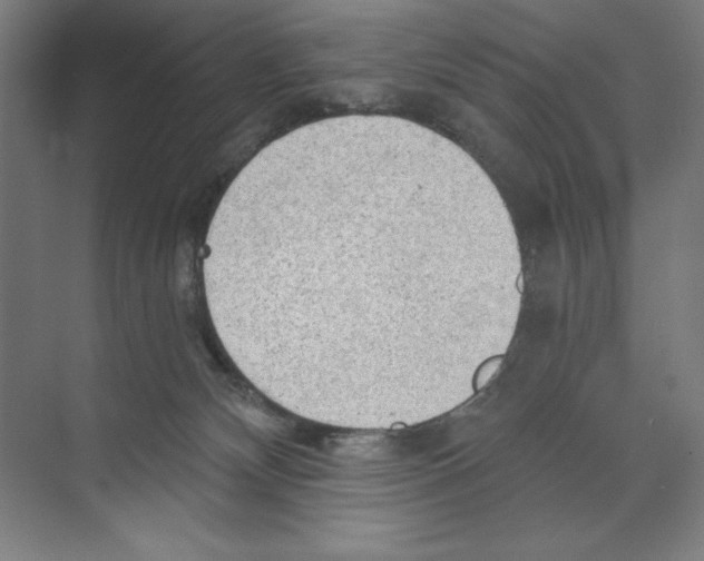 X0000068830132200606021652