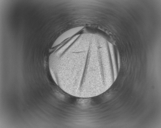 X0000068830135200606021652