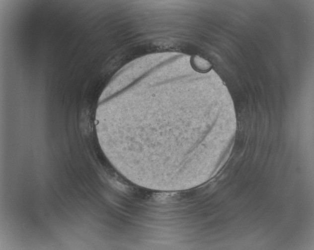 X0000068830136200606021652