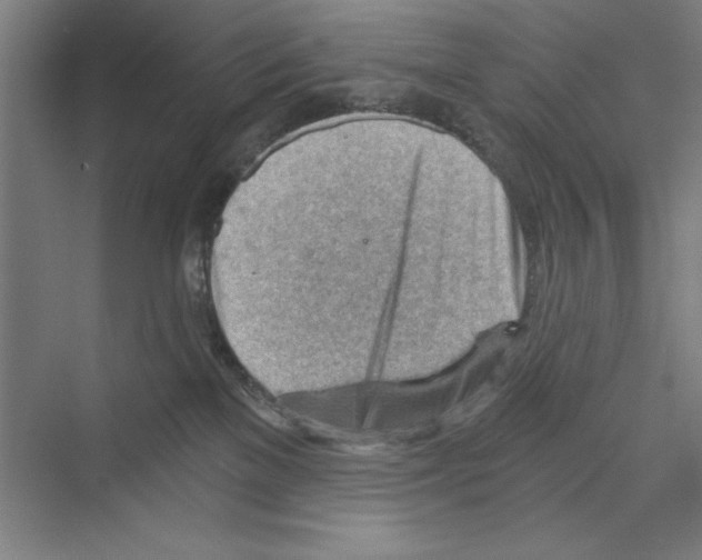 X0000068830137200606021652