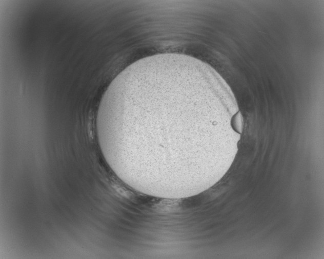 X0000068830138200606021652