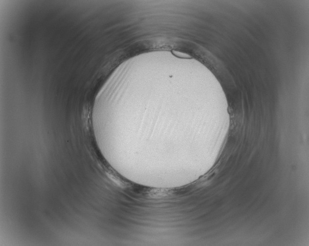 X0000068830142200606021652