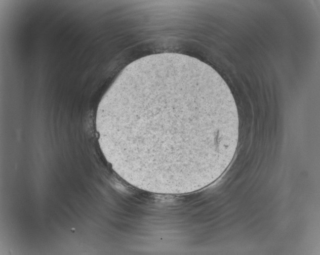 X0000068830144200606021652