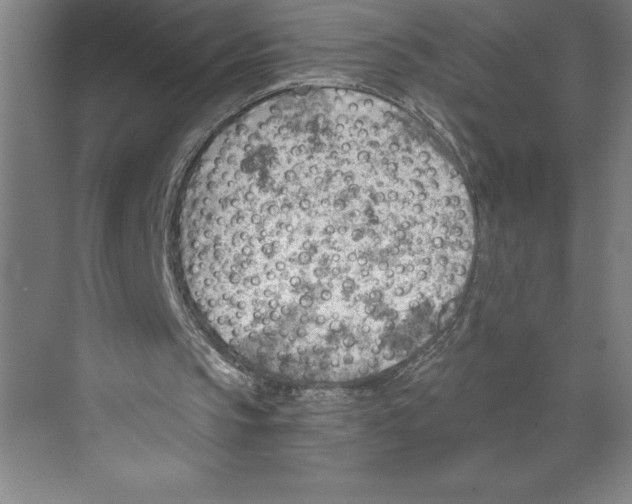 X0000068830145200606021651