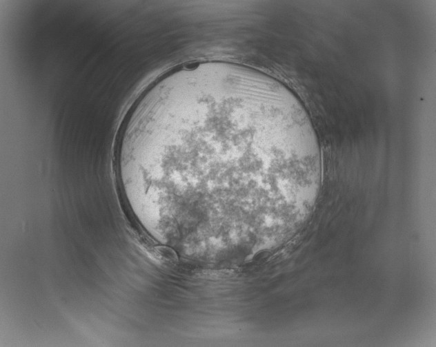 X0000068830147200606021652