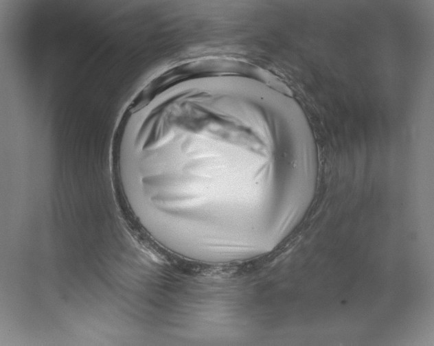 X0000068830148200606021652