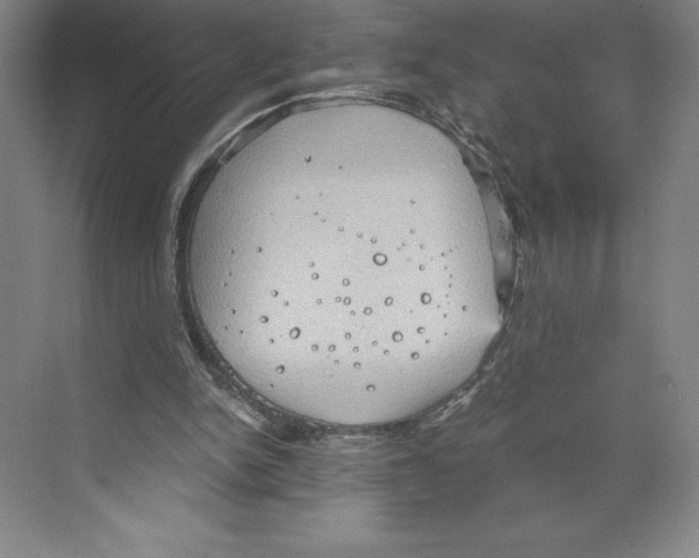 X0000068830150200606021652