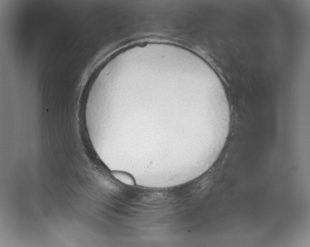 X0000068830151200606021652