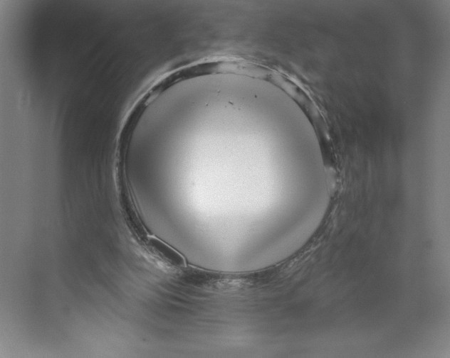 X0000068830152200606021652