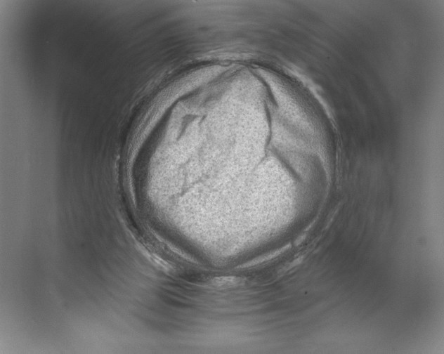 X0000068830153200606021652