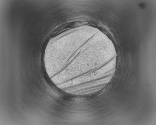 X0000068830154200606021652