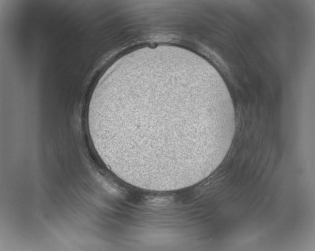 X0000068830155200606021652