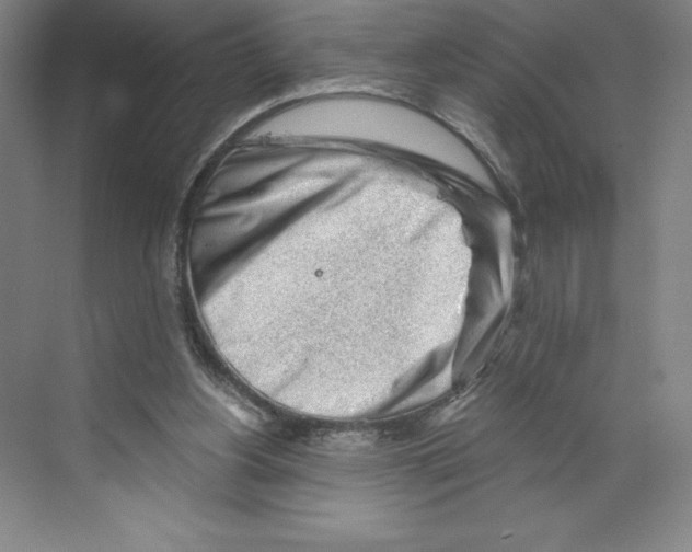 X0000068830156200606021652