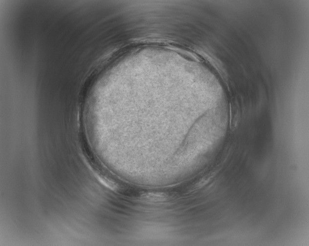 X0000068830157200606021652