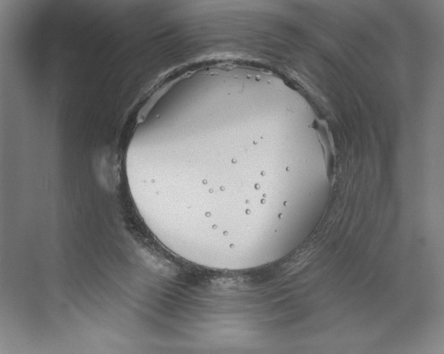 X0000068830160200606021652